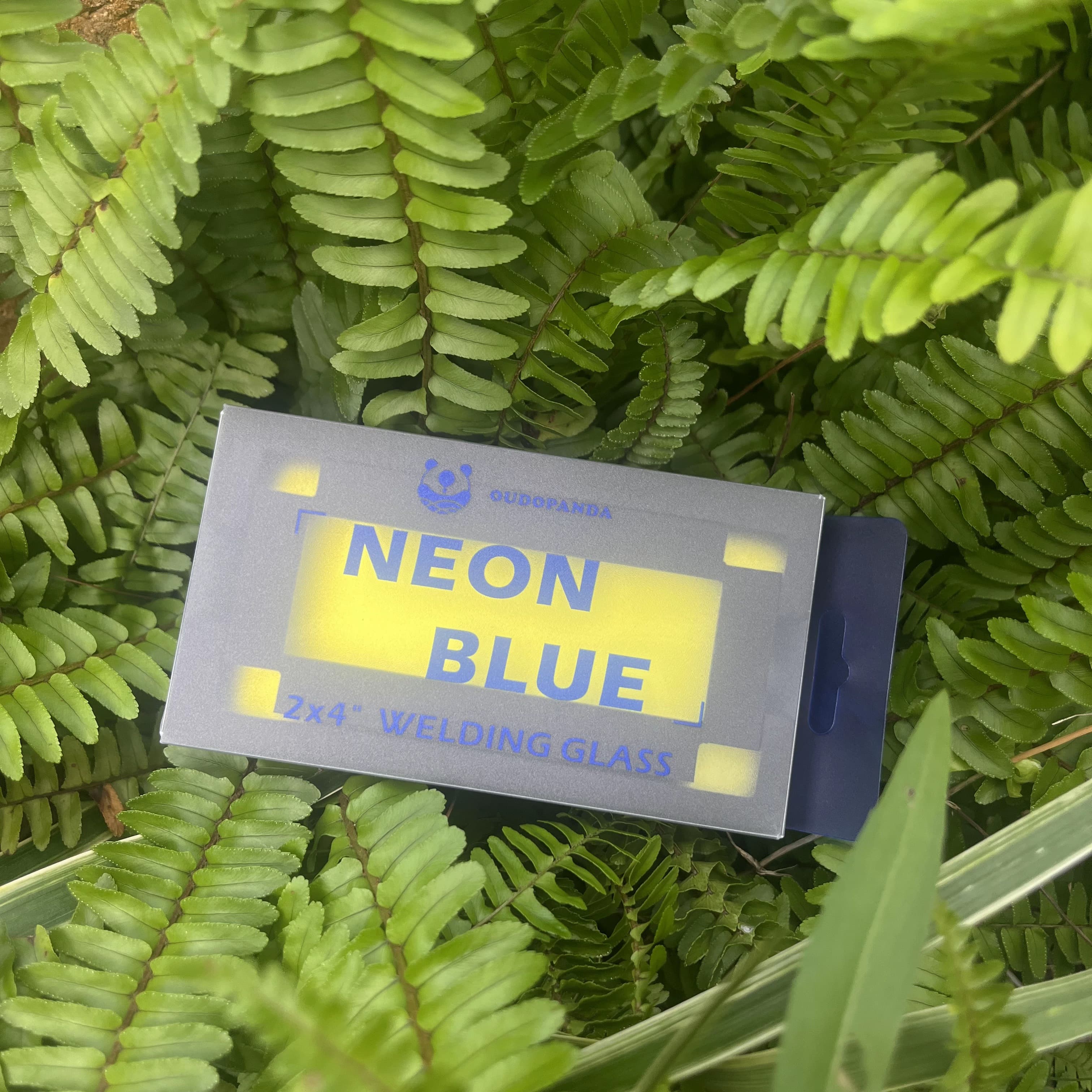 Serie de lentes pasivas AZUL NEÓN, 2x4" 